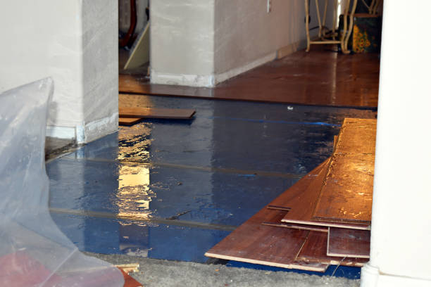 Professional Burst Pipe Cleanup technician working in Kitty Hawk, NC